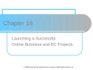 Lecture Electronic commerce - Chapter 16: Launching a Successful Online Business and EC Projects