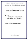 Sáng kiến kinh nghiệm THPT: Bồi dưỡng học sinh giỏi chuyên đề điện hoá học