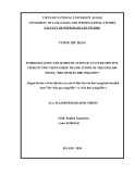 Master thesis English teaching methodology: Foreignization and domestication of culture specific items in two Vietnamese translations of the English novel “The wind in the willows”