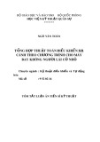 Tóm tắt luận án Tiến sĩ Kỹ thuật: Tổng hợp thuật toán điều khiển hạ cánh theo chương trình cho máy bay không người lái cỡ nhỏ