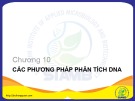 Bài giảng Sinh học phân tử: Chương 10 - Bùi Hồng Quân