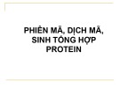 Bài giảng Phiên mã, dịch mã, sinh tổng hợp protein