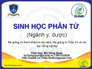 Bài giảng Sinh học phân tử: Chương 1 - Bùi Hồng Quân