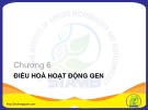 Bài giảng Sinh học phân tử: Chương 6 - Bùi Hồng Quân