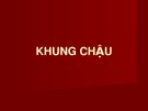 Bài giảng Khung chậu