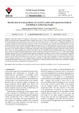 Identification of serum predictors of n-acetyl-l-cysteine and isoproterenol induced remodelling in cardiac hypertrophy