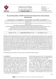 The promising effects of BMP2 transfected mesenchymal stem cells on human osteosarcoma