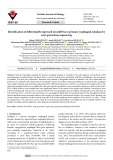 Identification of differentially expressed microRNAs in primary esophageal achalasia by next-generation sequencing