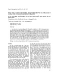 Phân tích cấu trúc gen mã hóa insulin like growth factor 2 (IGF2) ở cá tra nuôi (pangasianodon hypophthalmus)