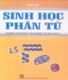 Ebook Sinh học phân tử (Dùng cho đào tạo dược sỹ đại học): Phần 2 - Bộ Y Tế