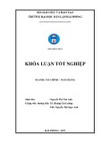 Khóa luận tốt nghiệp Tài chính Ngân hàng: Giải pháp nâng cao chất lượng tín dụng tại Ngân Hàng Thương Mại Cổ Phần Việt Nam Thịnh Vượng – Chi Nhánh Lạch Tray Hải Phòng