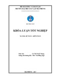 Khóa luận tốt nghiệp Kế toán Kiểm toán: Hoàn thiện công tác kế toán hàng hóa tại Công ty cổ phần đầu tư và phát triển Hải Nam