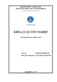 Khóa luận tốt nghiệp Kế toán Kiểm toán: Hoàn thiện công tác kế toán hàng hóa tại Công ty TNHH Thương Mại Lô Hội Tại Hải Phòng