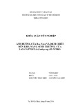 Khóa luận tốt nghiệp Nông học: Ảnh hưởng của BA, NAA và dịch chiết đến khả năng sinh trưởng của lan Cattleya (Cattleya sp.) in vitro