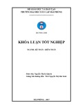 Khóa luận tốt nghiệp Kế toán Kiểm toán: Hoàn thiện công tác kế toán doanh thu, chi phí và xác định kết quả kinh doanh tại Công ty TNHH Thương Mại và Sản Xuất Dự Phúc