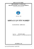 Khóa luận tốt nghiệp Kế toán Kiểm toán: Hoàn thiện công tác kế toán tập hợp chi phí sản xuất và tính giá thành sản phẩm tại Xí Nghiệp Bao Bì Hùng Vương