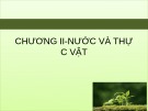 Bài giảng Sinh lý học thực vật: Chương 2 - TS. Trần Thế Hùng