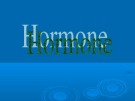 Bài giảng Tìm hiểu về Hormone