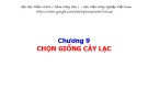 Bài giảng Chọn giống cây trồng ngắn ngày - Chương 9: Chọn giống cây lạc