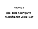 Bài giảng Vi sinh đại cương: Chương 2 - Đào Hồng Hà