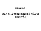 Bài giảng Vi sinh đại cương: Chương 3.1 - Đào Hồng Hà