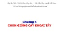 Bài giảng Chọn giống cây trồng ngắn ngày - Chương 5: Chọn giống khoai tây