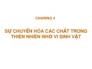 Bài giảng Vi sinh đại cương: Chương 4 - Đào Hồng Hà