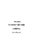 Bài giảng Vi sinh vật đại cương - Đào Hồng Hà