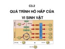 Bài giảng Vi sinh đại cương: Chương 3.2 - Đào Hồng Hà