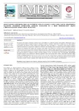 Simultaneous determination of synthetic dyes in gummy candy using novel mesoporous magnetic graphene oxide@zein aerogel followed by a high performance liquid chromatography diode array detector