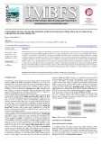 Comparison of DNA standards for  real-time-pcr based quantification of lactobacillus acidophilus in dairy products