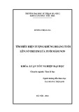 Khóa luận tốt nghiệp: Tìm hiểu hiện tượng khủng hoảng tuổi lên ba ở trẻ em lứa tuổi mầm non