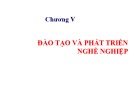 Bài giảng môn Quản trị nguồn nhân lực - Chương 5: Đào tạo và phát triển nghề nghiệp