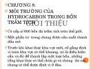 Bài giảng Địa chất dầu khí - Chương 8: Môi trường của hydrocarbon trong bồn trầm tích