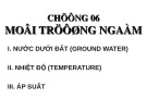 Bài giảng Địa chất dầu khí - Chương 6: Môi trường ngầm