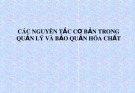 Bài giảng Các nguyên tắc cơ bản trong quản lý và bảo quản hóa chất