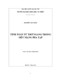 Luận văn Thạc sĩ Khoa học: Tính toán từ trở ngang trong siêu mạng pha tạp