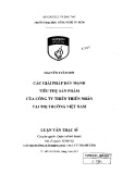 Luận văn Thạc sĩ Quản trị kinh doanh: Các giải pháp đẩy mạnh tiêu thụ sản phẩm của Công ty Thiên thiên Nhân tại thị trường Việt Nam