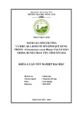 Khóa luận tốt nghiệp: Đánh giá sinh trưởng và hiệu quả kinh tế mô hình quế rừng trồng (Cinamumun cassia Blume) tại xã Đào Thịnh, huyện Trấn Yên, tỉnh Yên Bái