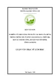 Luận văn Thạc sĩ Lâm học: Nghiên cứu khả năng tích lũy các bon của rừng trồng Thông mã vĩ (Pinus massoniana) trên địa bàn xã Thành Công, huyện Nguyên Bình, tỉnh Cao Bằng