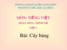 Bài giảng môn Tiếng Việt lớp 1 sách Cánh diều năm học 2019-2020 - Tuần 33: Chính tả Cây bàng (Trường Tiểu học Ái Mộ B)