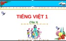 Bài giảng môn Tiếng Việt lớp 1 sách Cánh diều năm học 2020-2021 - Bài 62: Kể chuyện Sư tử và chuột nhắt (Trường Tiểu học Ái Mộ B)