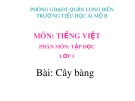 Bài giảng môn Tiếng Việt lớp 1 sách Cánh diều năm học 2019-2020 - Tuần 33: Tập đọc Cây bàng (Trường Tiểu học Ái Mộ B)