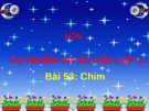 Giáo án điện tử môn Tự nhiên và xã hội lớp 3 - Bài: Chim