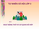 Giáo án điện tử môn Tự nhiên và xã hội lớp 3 - Bài: Hoạt động thở và cơ quan hô hấp