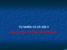 Giáo án điện tử môn Tự nhiên và xã hội lớp 3 - Bài: Hoạt động tuần hoàn