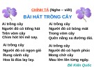 Giáo án điện tử môn Tiếng Việt lớp 3 - Tuần 31: Chính tả Bài hát trồng cây