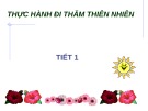 Giáo án điện tử môn Tự nhiên và xã hội lớp 3 - Bài: Thực hành đi thăm thiên nhiên