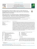 Photodegradation of Reactive Black 5 and raw textile wastewater by heterogeneous photo-Fenton reaction using amino-Fe3O4-functionalized graphene oxide as nanocatalyst