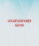 Sáng kiến kinh nghiệm Mầm non: Biện pháp tạo hứng thú cho trẻ mẫu giáo 3-4 tuổi trong hoạt động làm quen với Toán